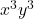  x^3y^3 