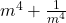  m^4+\frac1{m^4} 