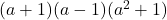  (a + 1)(a - 1)(a^2 + 1) 