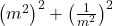  \left(m^2\right)^2+\left(\frac1{m^2}\right)^2 