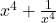 x^4 + \frac{1}{x^4}