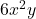 6x^2y