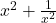  x^2 + \frac{1}{x^2} 