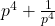  p^4 + \frac{1}{p^4} 
